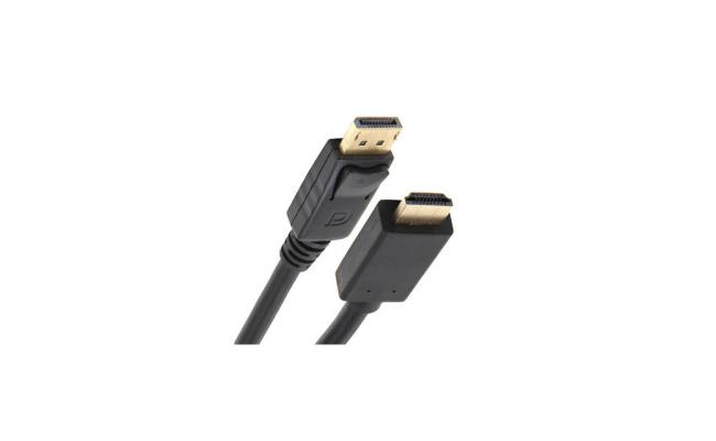 Nippon Labs DP-HDMI-6 6ft DisplayPort  to HDMI Cable
